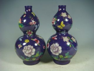 Chinese Famille Rose Porcelain Vase photo
