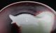 Antique Chinese Rare Beauty Of The Porcelain Glass Bowls photo 6