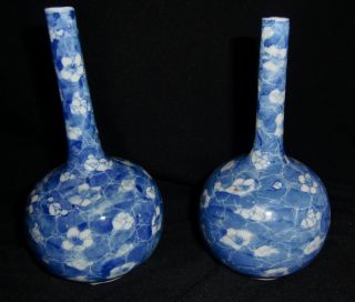 Two Kangxi Late 19th Century Prunus Bottle Vases In Vgc photo