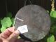 Antique Chinese Bronze Mirror - 5 Running Suani & Grapes,  5.  25” Tang Dynasty? Other photo 6