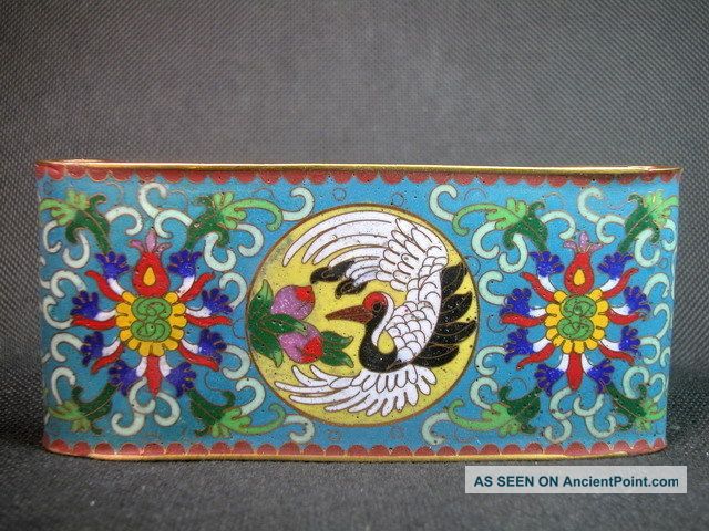 Chinese Crane Flower 