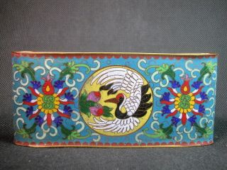 Chinese Crane Flower 
