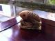 Old Ox Bone Carving Carved Oxbone Japanese Nestuke Japan Fish 19e Poisson Netsuke photo 1