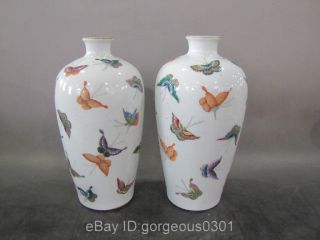A Pair Excellent Chinese Famille Rose Porcelain Vase photo