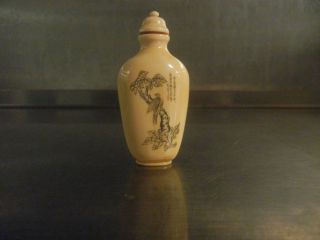 Chinese Antique Bone Of Snuff Bottle photo