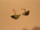 Antiques Jade Carved Butterfly Earrings 14kt Gold F Other photo 4