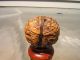 Antique Chinese Priests Carved Walnut Shell - Cr.  1910 Other photo 9