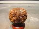 Antique Chinese Priests Carved Walnut Shell - Cr.  1910 Other photo 4
