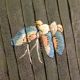 Antique Chinese Shi Shi Dog Pleated Skirt Ch’ing Dynasty 19th Century Other photo 7