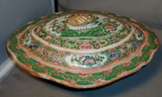 19th C.  Chinese Export Porcelain Famille Rose Medallion Bird & Butterfly Tureen photo