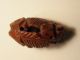 Chinese Miniature Olive - Nut Carving Nr.  4 Other photo 5