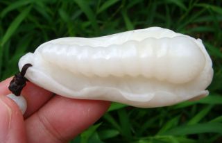 Chinese Celadon Nephrite Jade Carved Chinese Cabbage Pupa Pendant 65x30x20mm photo