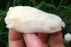 Chinese Celadon Nephrite Jade Carved Chinese Cabbage Pupa Pendant 65x30x20mm Other photo 4