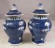 Pair Of Chinese Miniature Prunus Ginger Temple Jars Other photo 2