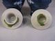 Pair Of Chinese Miniature Prunus Ginger Temple Jars Other photo 5