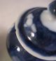 Pair Of Chinese Miniature Prunus Ginger Temple Jars Other photo 8