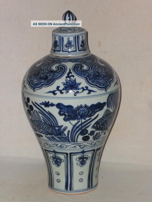 Chinese Blue&white Porcelain Fish Meiping Vases photo
