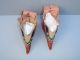 Antique Chinese 19th Century Qing Lotus High Back Silk Shoes - Actualy Worn Other photo 2