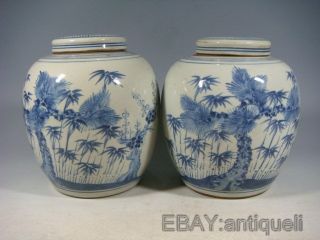 Blue&white Porcelain Jars photo