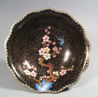 China Chinese Brass & Cloisonne Bowl W/ Lotus Cherry Blossoms & Avians 20th C photo