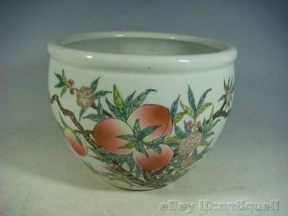 Famille Rose Porcelain Jar photo