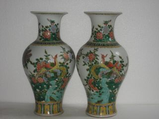 Pair Stunning Chinese Porcelain Flower Birds Vases photo