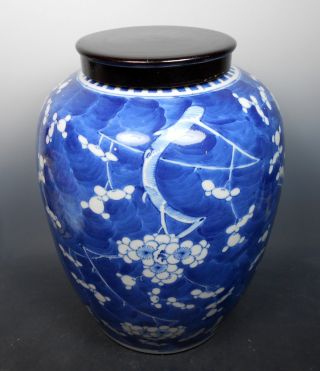 Chinese Blue And White B & W Signed Prunus Plum Blossom Tree Porcelain Jar Vase photo