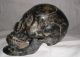 Exquisite Early 19th Century Bronze Lifesize Model Of A Human Skull Very Gothic Other photo 7