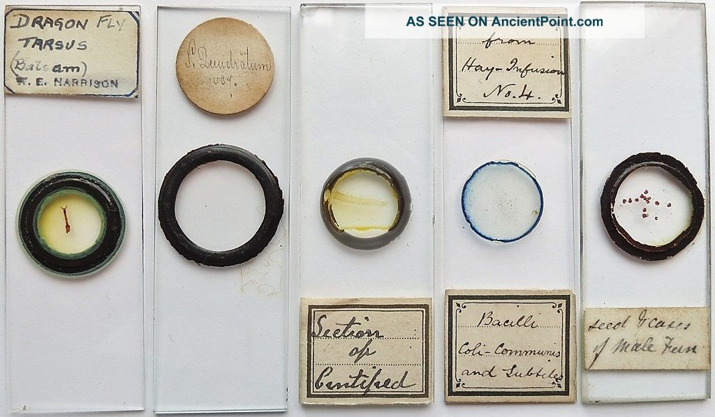 5 Antique/vintage Microscope Slides (3) Other photo