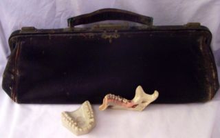 Antique Medical Bag W/ Dental Teeth Vintage Dental Teaching Teeth & Medical Bag photo