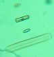 Boxed Collection (11) Early Diatom Microscope Slides Other photo 2
