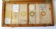 Boxed Collection (11) Early Diatom Microscope Slides Other photo 4