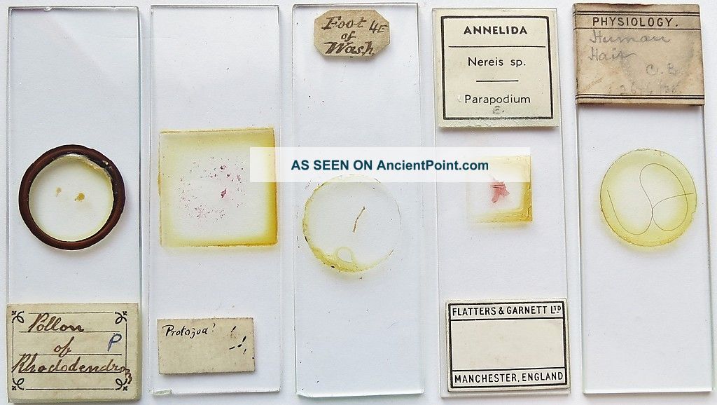 5 Antique/vintage Microscope Slides (26) Other photo