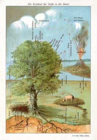 C1900 Cycle Of Substances In Nature Volcano Pig Antique Lithograph Print Bilz photo