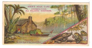 Antique Ayer ' S Ague Malaria Cure Quack Medicine Trade Card Swamp Theme photo