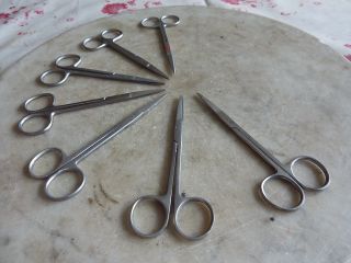 Set Of 7 Surgical Scissors photo