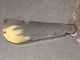 Rare~ 1800s Borwick Bone Handle 3 Blade Fleam/bleeder Knife,  Htf ~look~ Surgical Tools photo 1