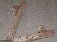 Rare~ 1800s Borwick Bone Handle 3 Blade Fleam/bleeder Knife,  Htf ~look~ Surgical Tools photo 2