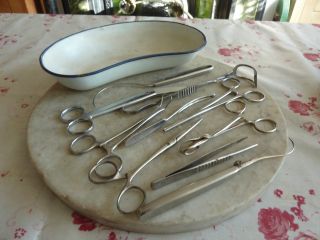 Enamel Kidney Shaped Dish And 10 Surgical Instruments photo