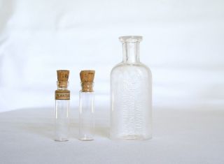 1860 ' S Plantago Major Teeth Civil War Era Drug Medicine Bottle Hand Blown Glass photo