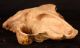 Ape Monkey Baboon Ceramic Skull Old Vintage Look Animal Face Evolution Display Other photo 5