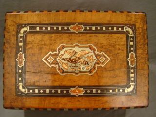 Antique 19thc Victorian Eagle Birds Eye Maple Old Silver Inlay Writing Lap Desk photo