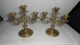 Pair Of Antique Ornate Solid Brass Candelabra Candle Holders 3 Arm Metalware photo 9