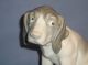 Antique Gebruder Heubach Hound Figurine 1843 To 1925 Mint Adorable Look B Figurines photo 1
