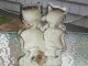 Antique Hubley Grace Drayton Cat 73 Twin Kittens Cast Iron Home Art Doorstop Metalware photo 1