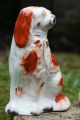 Pair Of 19th C.  Large Staffordshire Brown & White Seated Hearth Dogs Figurines photo 8