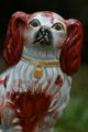 19th C.  Staffordshire Seated Brown & White Hearth Dog Figurines photo 1