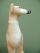19thc Staffordshire Figure Of A Greyhound In Sitting Pose Figurines photo 9