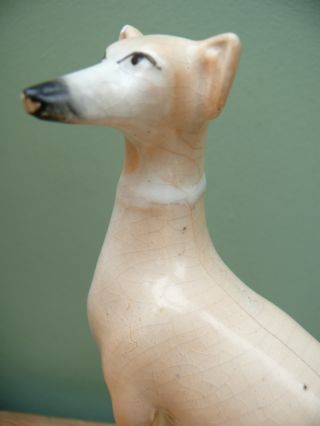 19thc Staffordshire Figure Of A Greyhound In Sitting Pose photo