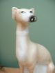 19thc Staffordshire Figure Of A Greyhound In Sitting Pose Figurines photo 2